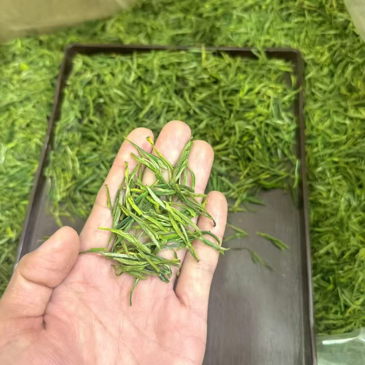 1⃣️黄大茶150g????358 2⃣️黄芽茶400g????278 - 折送网
