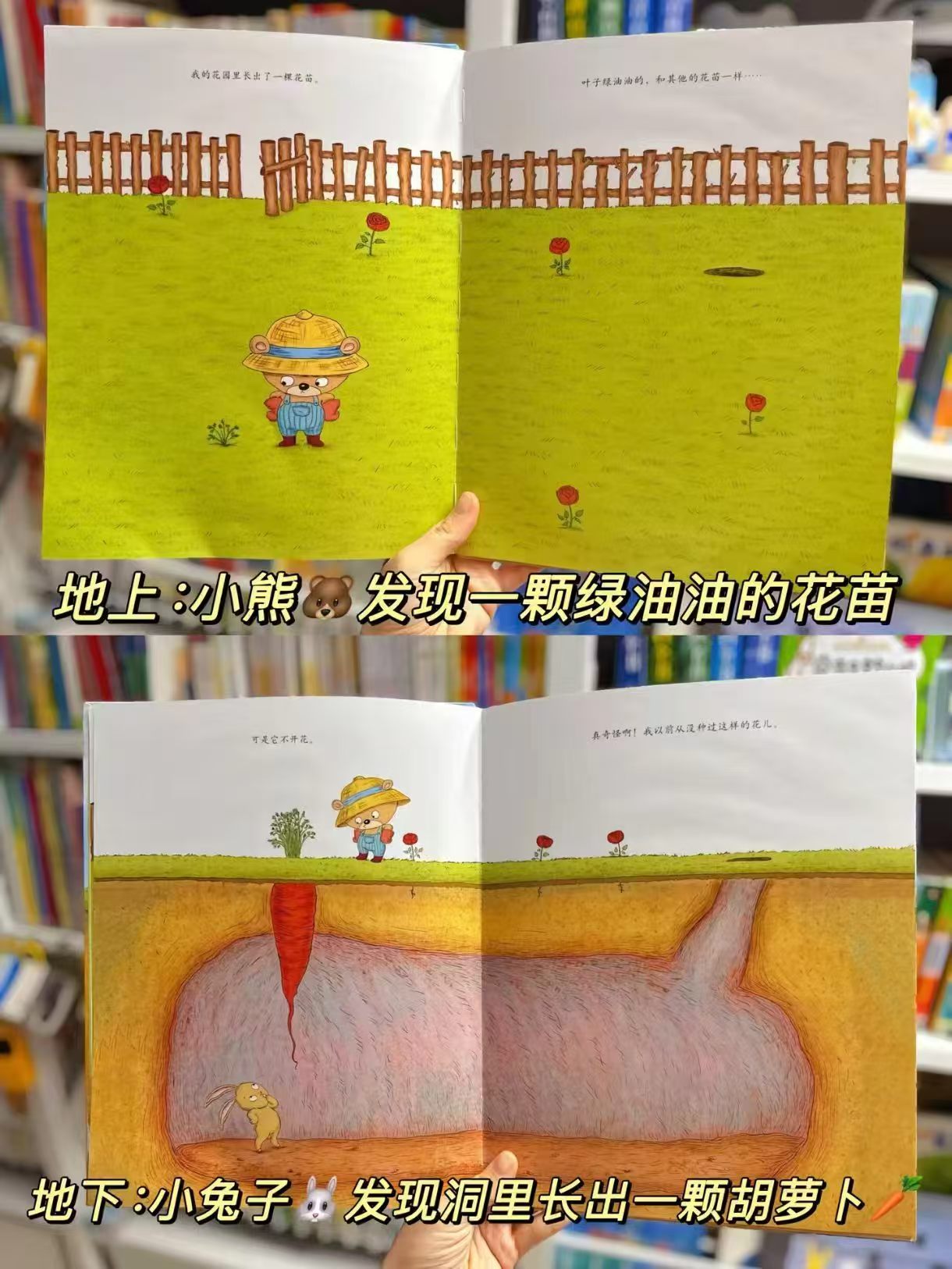 📚你为什么不开花 16.8元 - 86线报