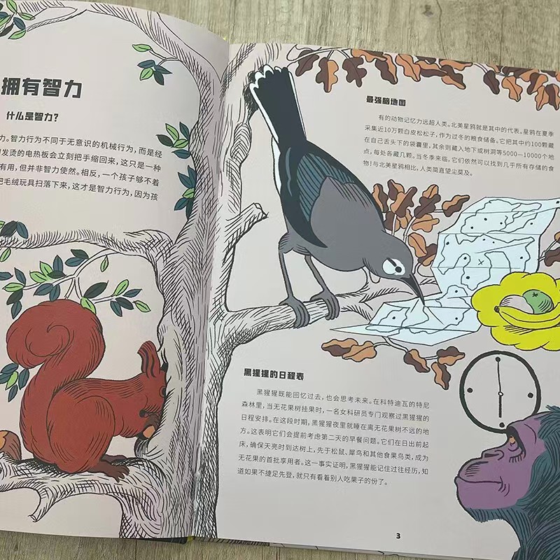 动物到底傻不傻 20.6元 - 86线报