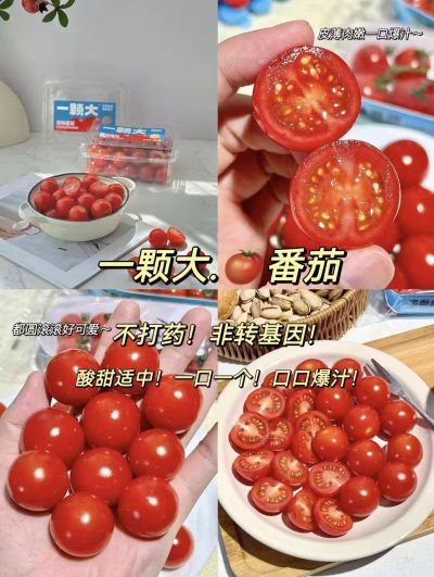 一颗大红樱桃小番茄458g/盒 拍1发4盒 26.9元 - 线报酷
