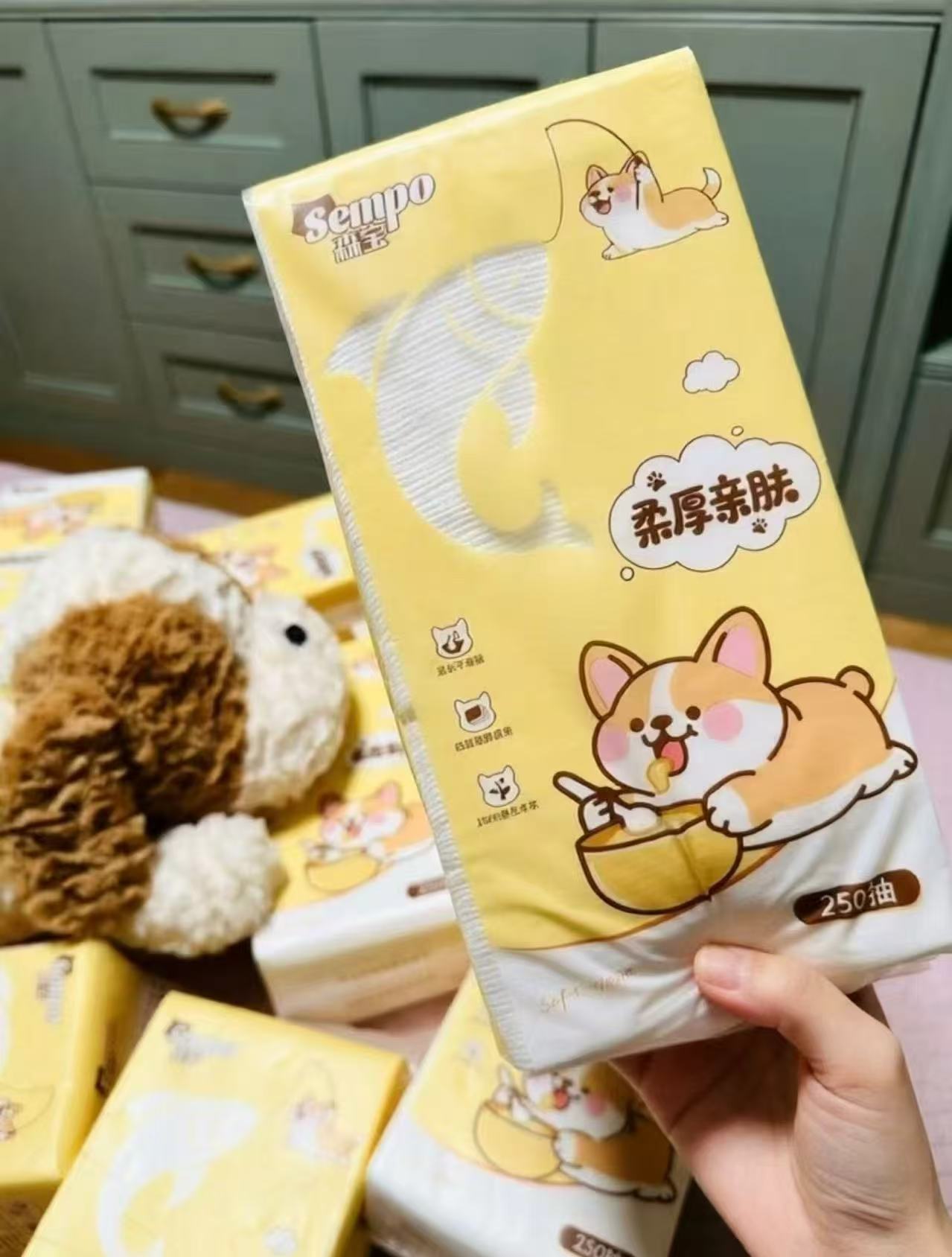 提森宝挂式大容量抽纸 22元 - 86线报