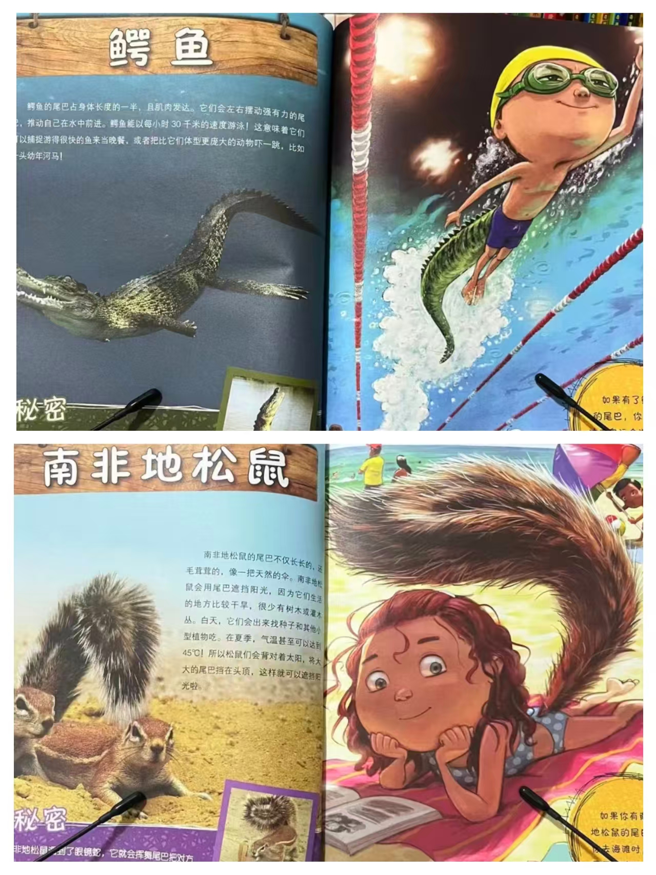📚如果你有动物的尾巴3册 21.2元 - 86线报
