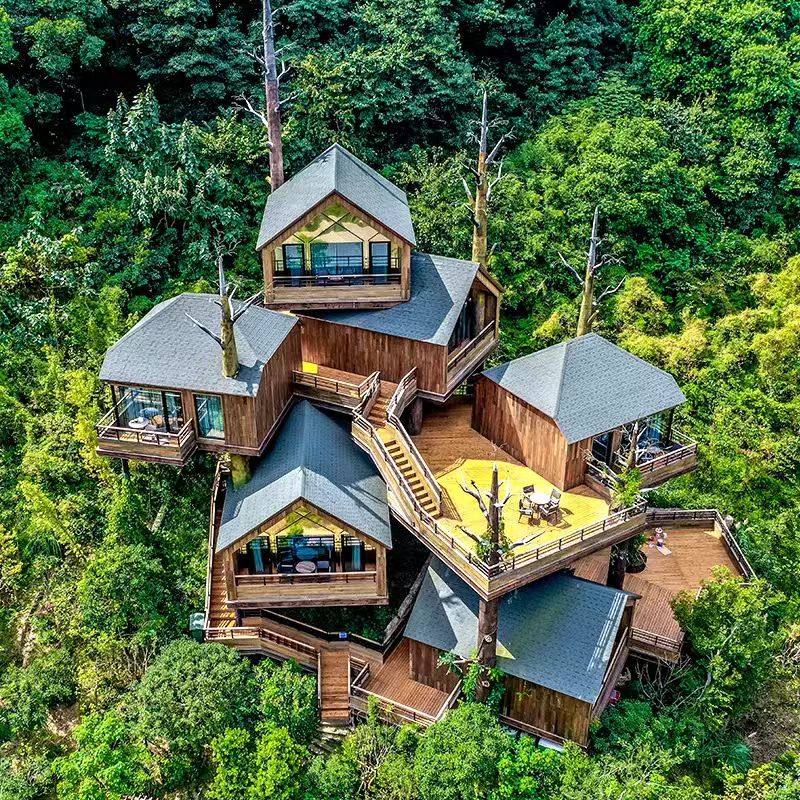 开元旅业5店4晚通兑 999元，杭州开元森泊树屋别墅1晚 1099元 - 86线报