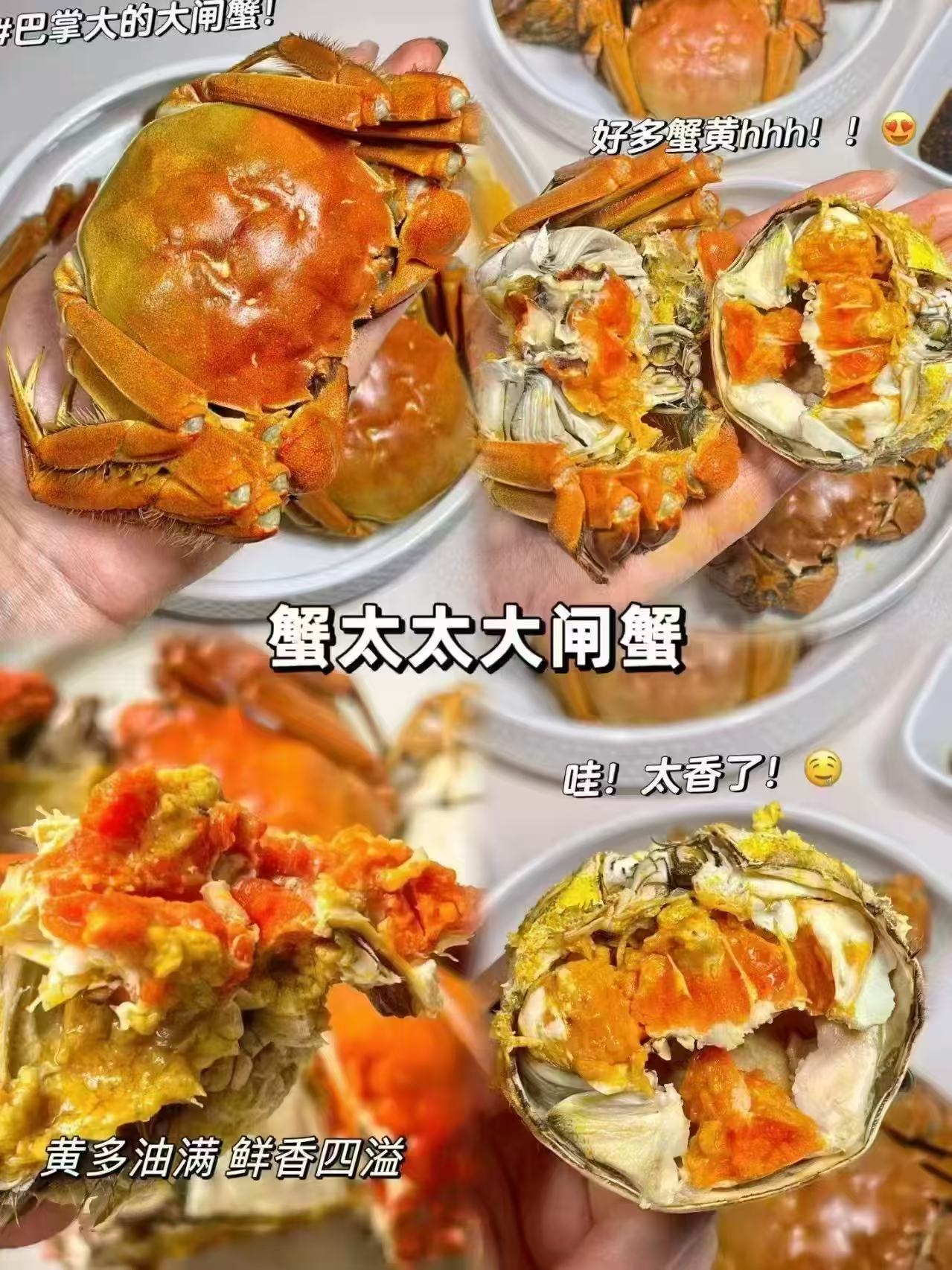 ⭕蟹太太大闸蟹提蟹卡 💰188🉐8只装‼️冲‼️ 💰188🉐8只装‼️冲‼️ - 线报酷