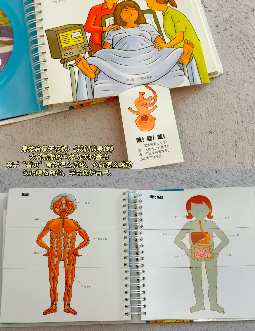 当当情绪小怪兽精装绘本3D立体翻翻书（我们的身体） 51.4元 - 线报酷