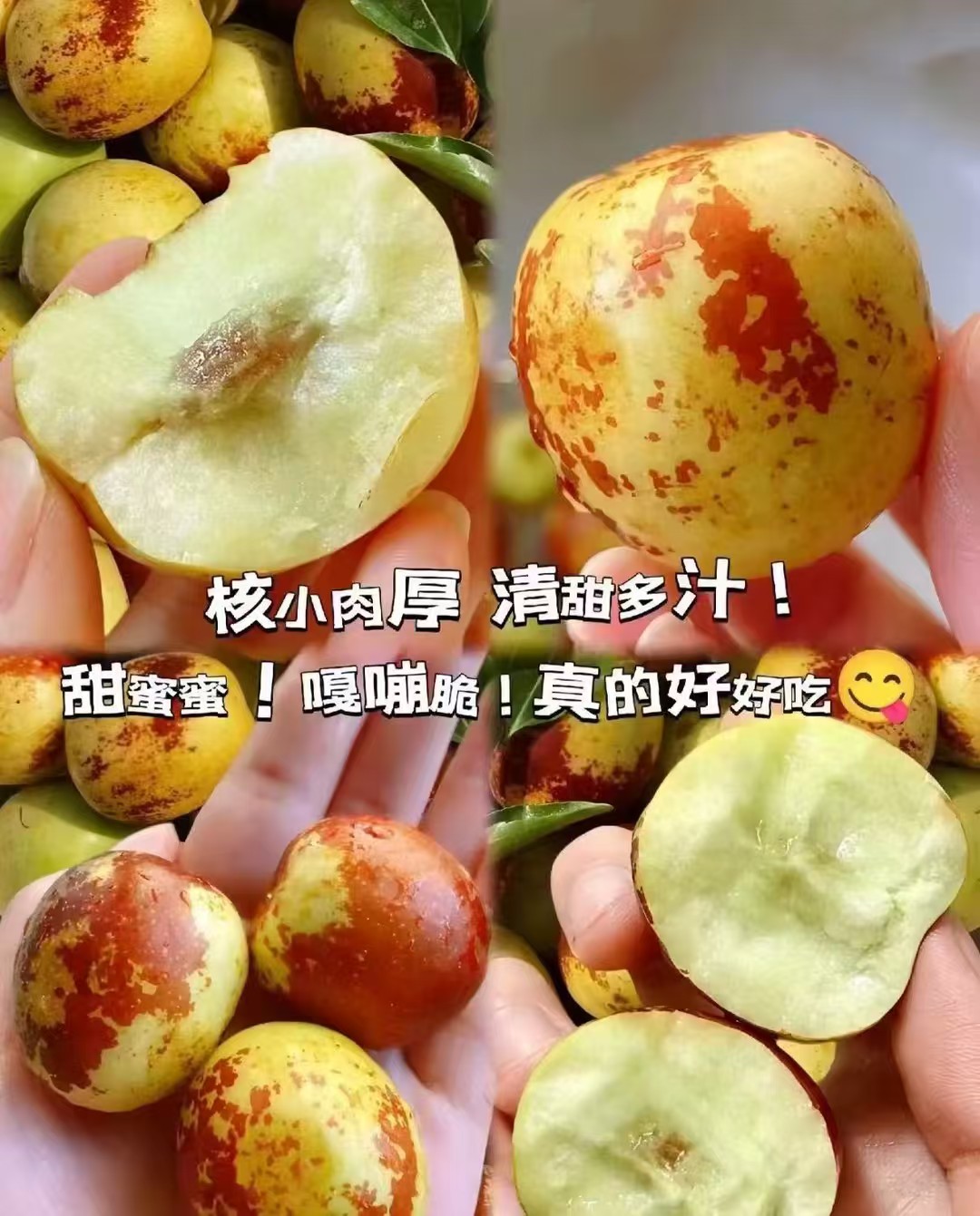 京鲜生陕西大荔冬枣净重3斤 24.9元 - 86线报