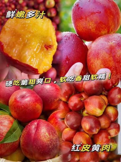 京觅山西红皮黄肉油桃净重3斤 14.8元 - 86线报