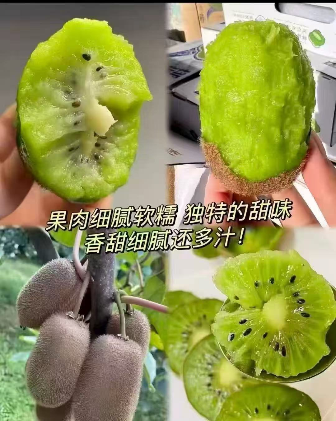 贵州修文长猕猴桃24粒 50-70g 11.9元 - 线报酷