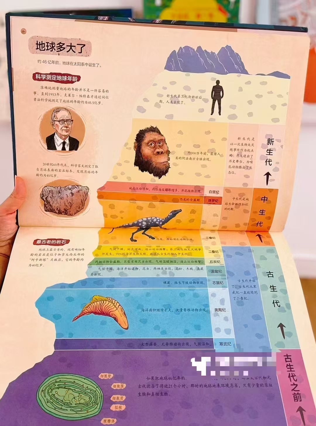 恐龙小Q史前生物探索之旅+恐龙探索之旅精装大开本2册 57元 - 86线报