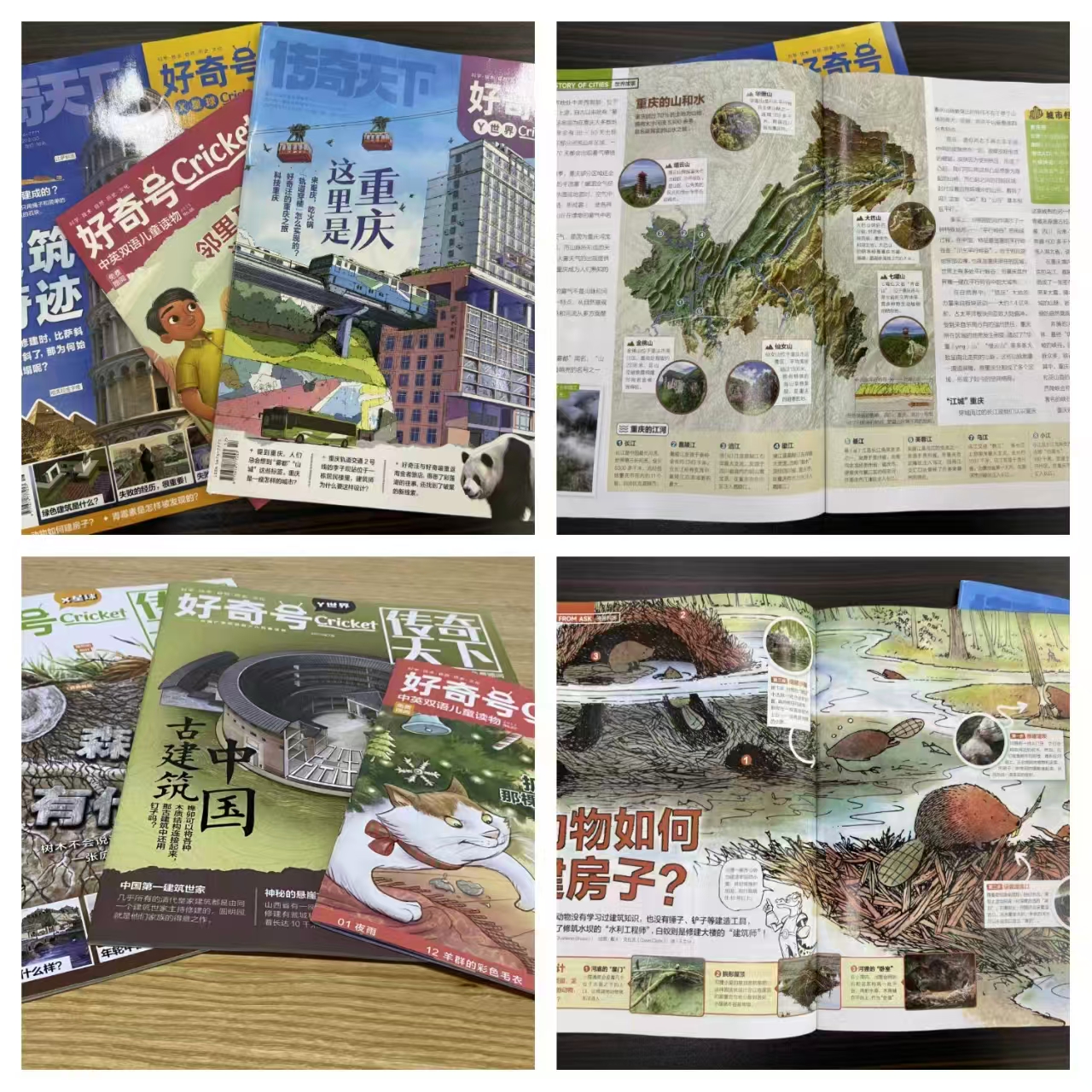 2026好奇号杂志1-7月新任选 14.5元 - 86线报