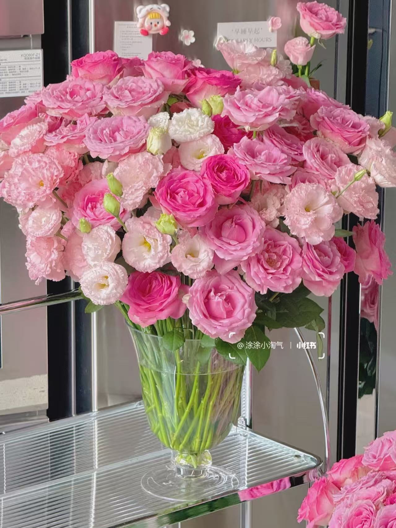 玫瑰花含赠20支 15.9元 - 86线报