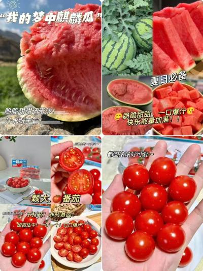 自营麒麟西瓜5-7斤+一颗大樱桃番茄850g各拍1件 29.6元 - 86线报