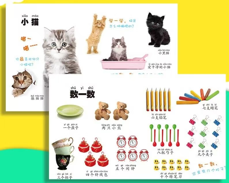 我的认知书-第一辑套装共6册 7元 - 折送网