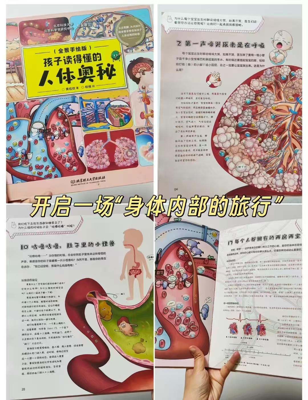 读品联合人体奥秘儿童读物 18.6元 - 线报酷 读品联合人体奥秘儿童读物 18.6元 - 线报酷