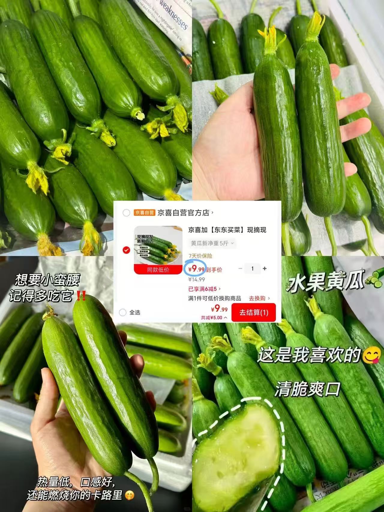 精品小黄瓜净重5斤 9.9元 - 86线报
