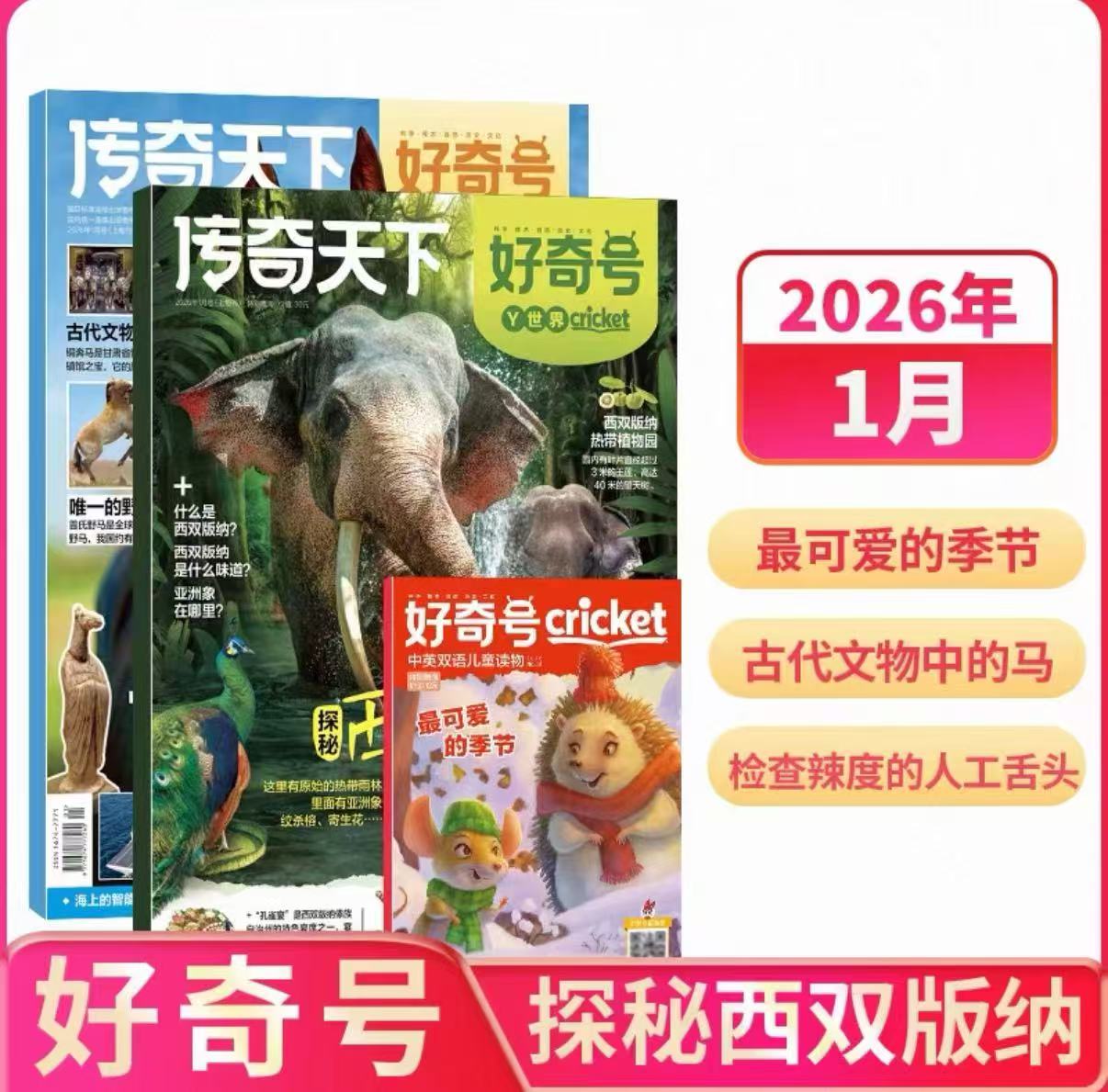 好奇号杂志1-8月青少年科普百科 17.5元 - 86线报
