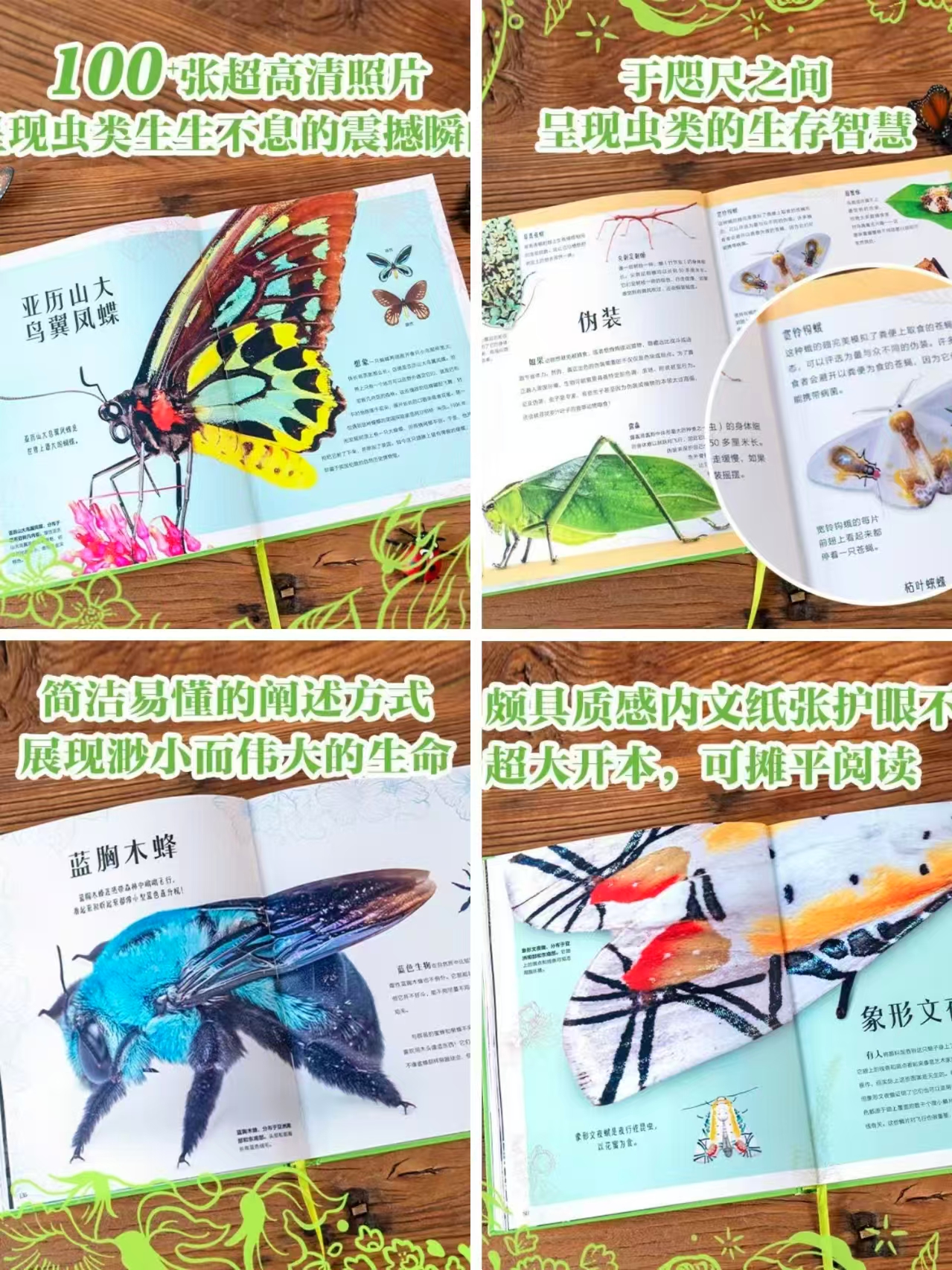 DK超绝非凡的虫类 47.7元 - 86线报