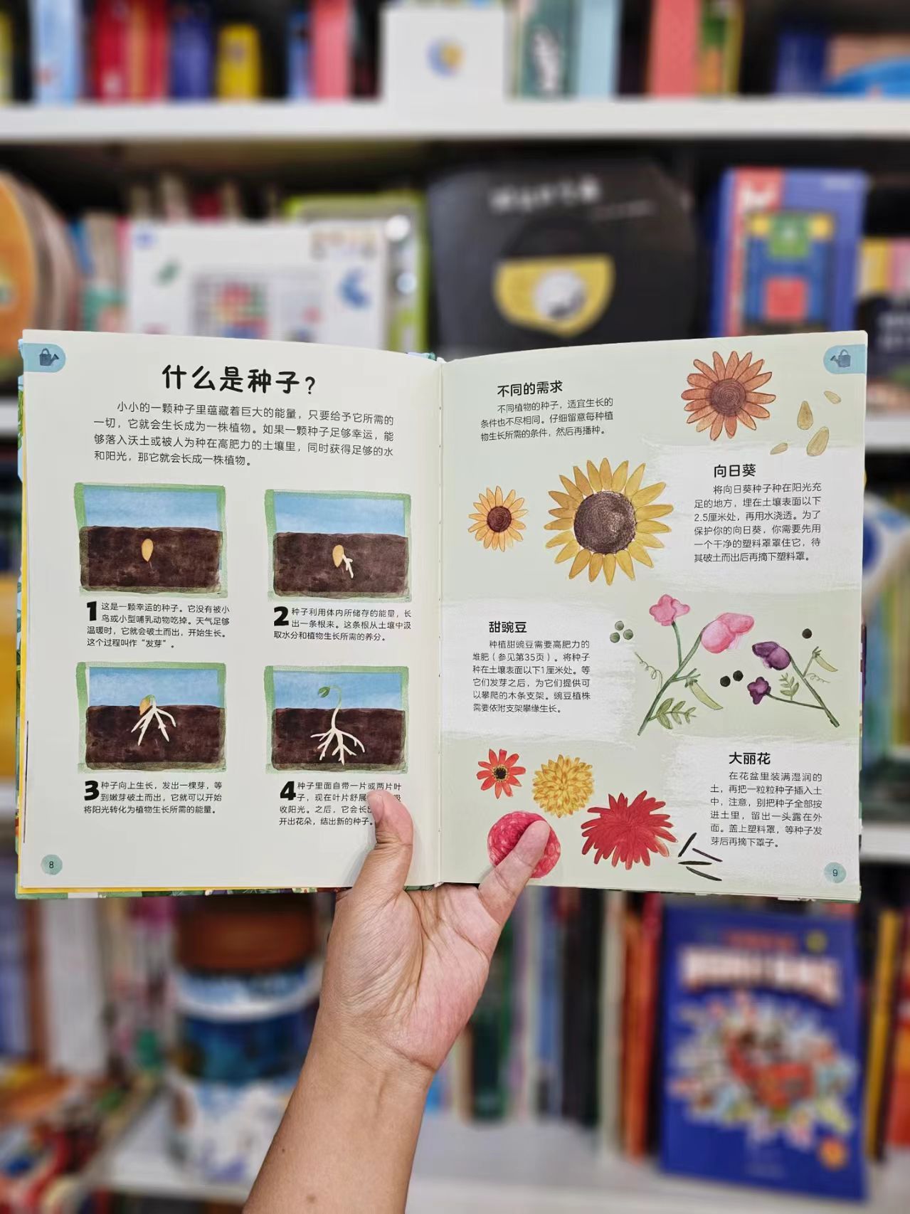 DK万物生长的秘密 21.2元 - 86线报