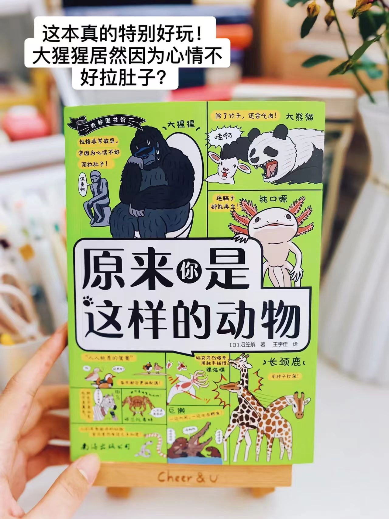 奇妙图书馆灭绝动物档案+原来你是这样的动物+动物拯救计划共3册 58.1元 - 86线报