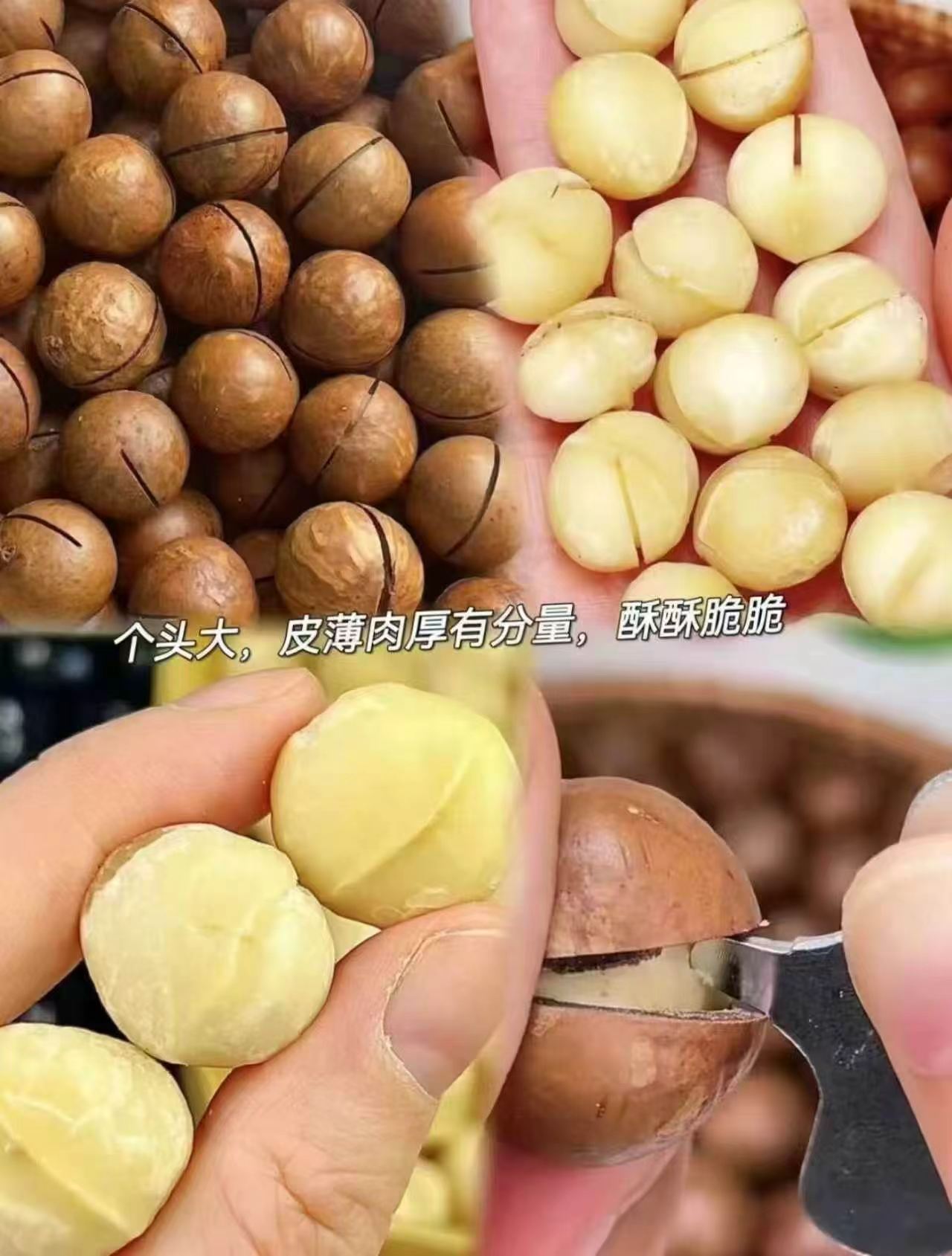 天虹牌夏威夷果1000g赠开壳器*2 52.5元 - 86线报