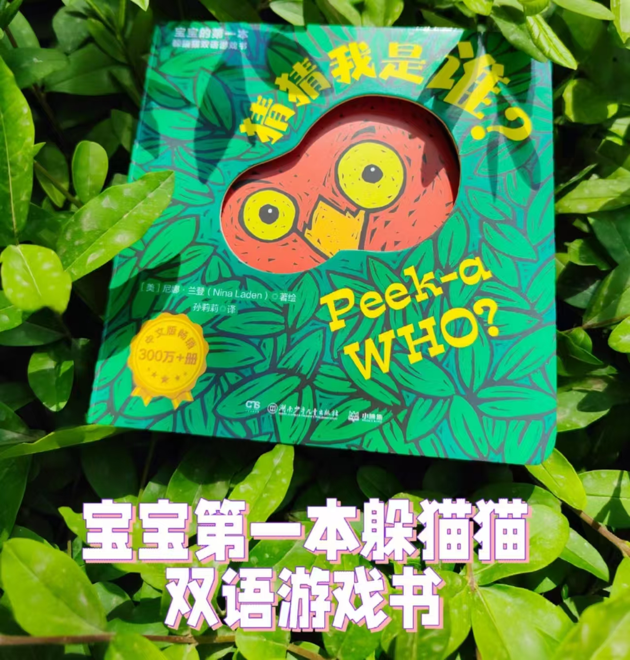 猜猜我是谁双语游戏书 7元 - 86线报