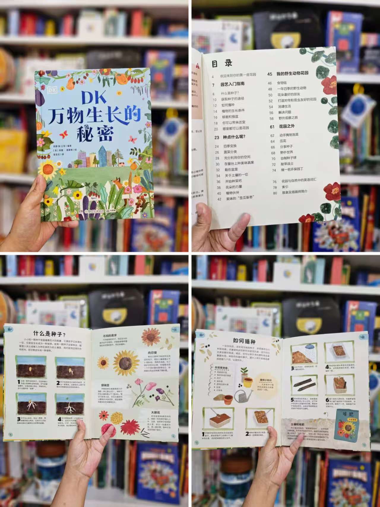 小博集儿童百科全书万物生长的秘密11-14岁自然科普启蒙书园艺指南 20元 - 线报酷