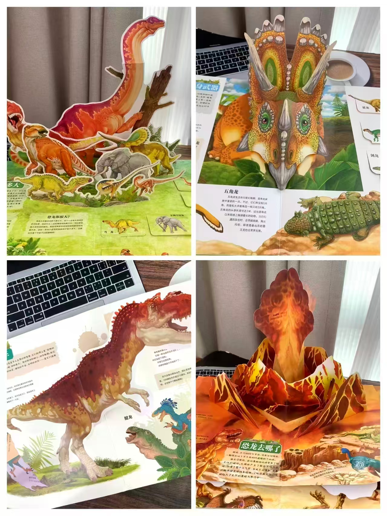 📚恐龙3D立体书💰42‼️ ⚠️复制书标题在京.东首页🔍 弹无门.槛🧧 - 86线报