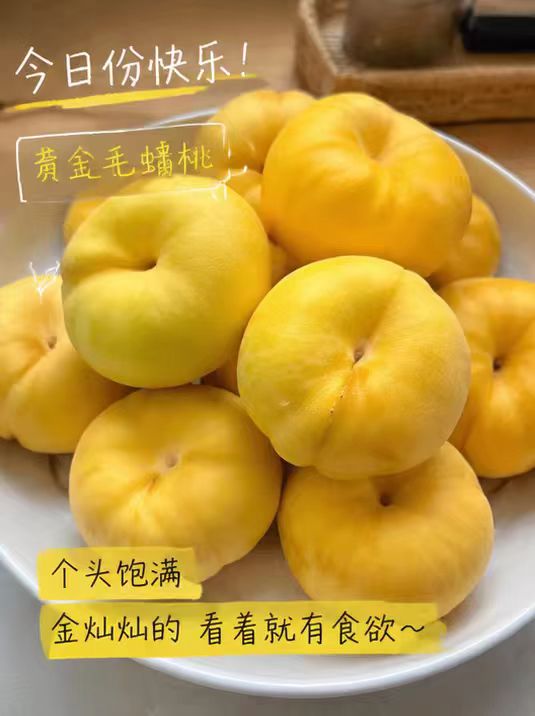 黄金蟠桃带箱5-5.5斤 24.9元 - 线报酷