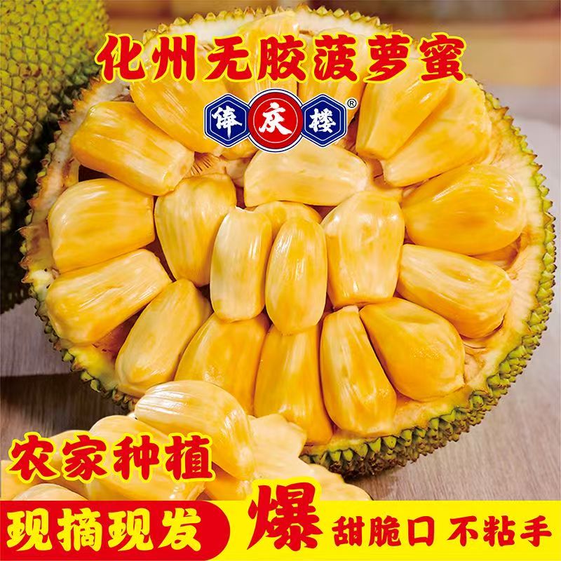 无胶菠萝蜜5-6斤 27.8元 - 折送网