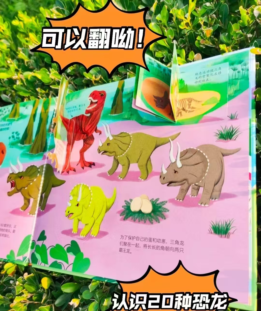 亲亲科学图书馆立体小百科欢迎来到马戏团 6.7元,亲亲科学图书馆立体小百科恐龙大家族 6.7元 - 线报酷 亲亲科学图书馆立体小百科欢迎来到马戏团 6.7元,亲亲科学图书馆立体小百科恐龙大家族 6.7元 - 线报酷