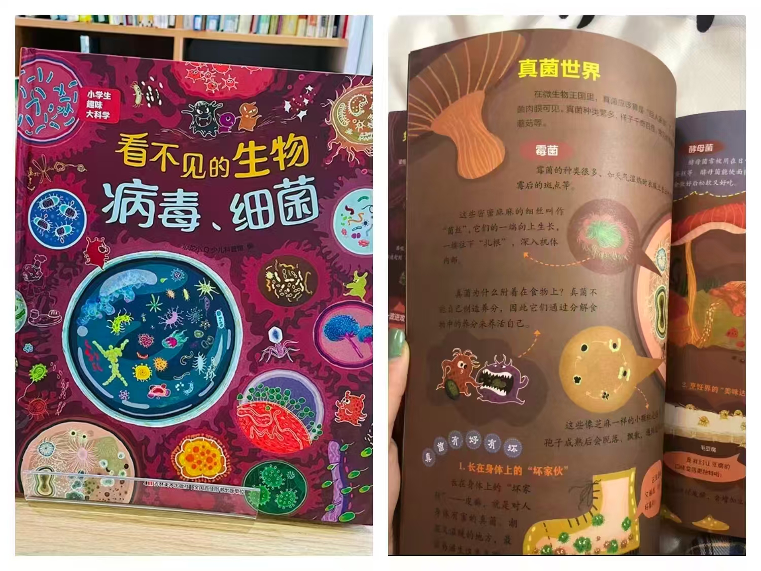 看不见的生物病毒细菌 4.2元 - 86线报