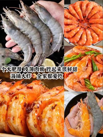 BOWO铂沃厄瓜多尔白虾拍1发净重4斤 99.9元 - 86线报