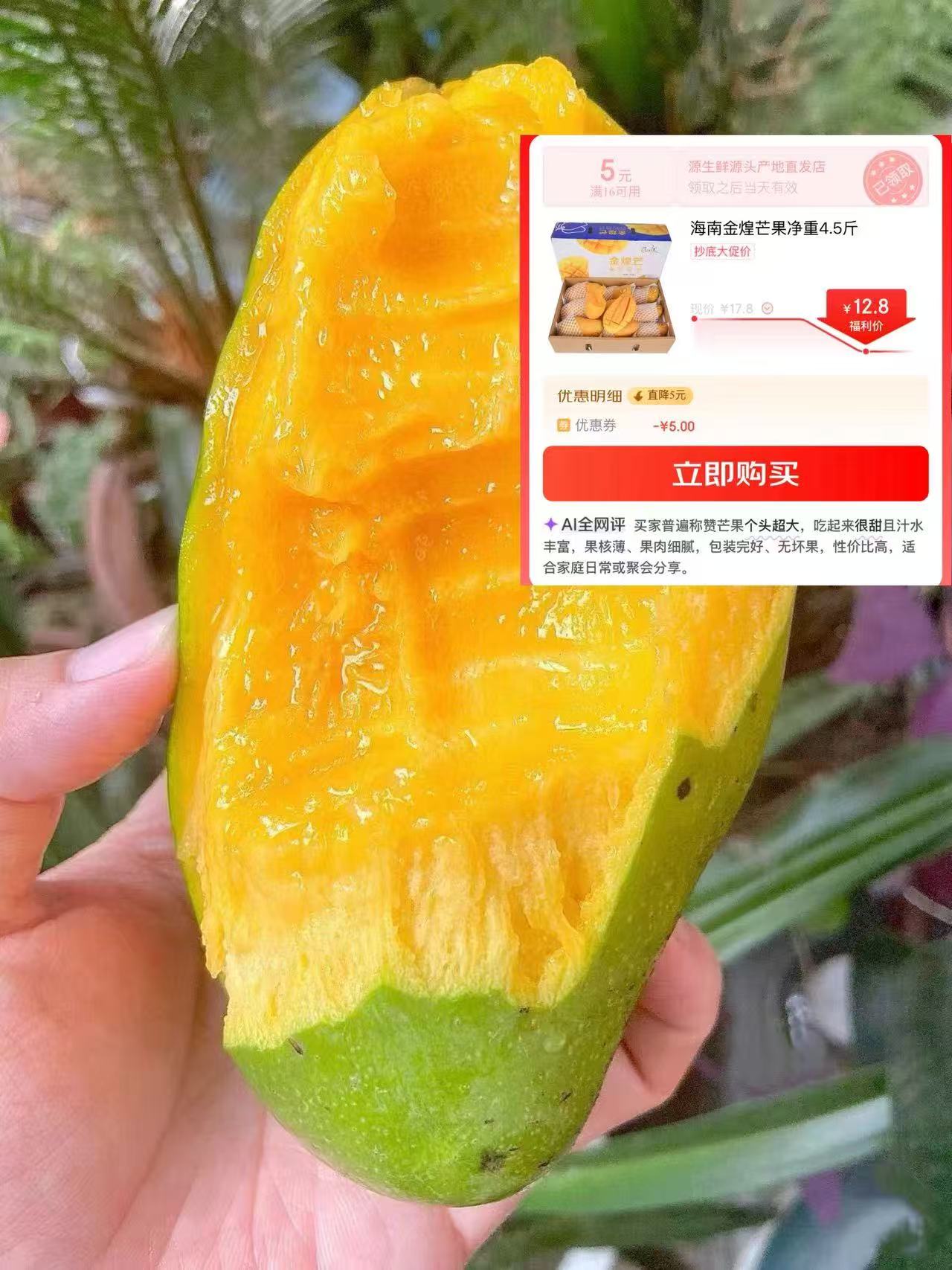 金煌芒果5斤装 12.8元 - 线报酷