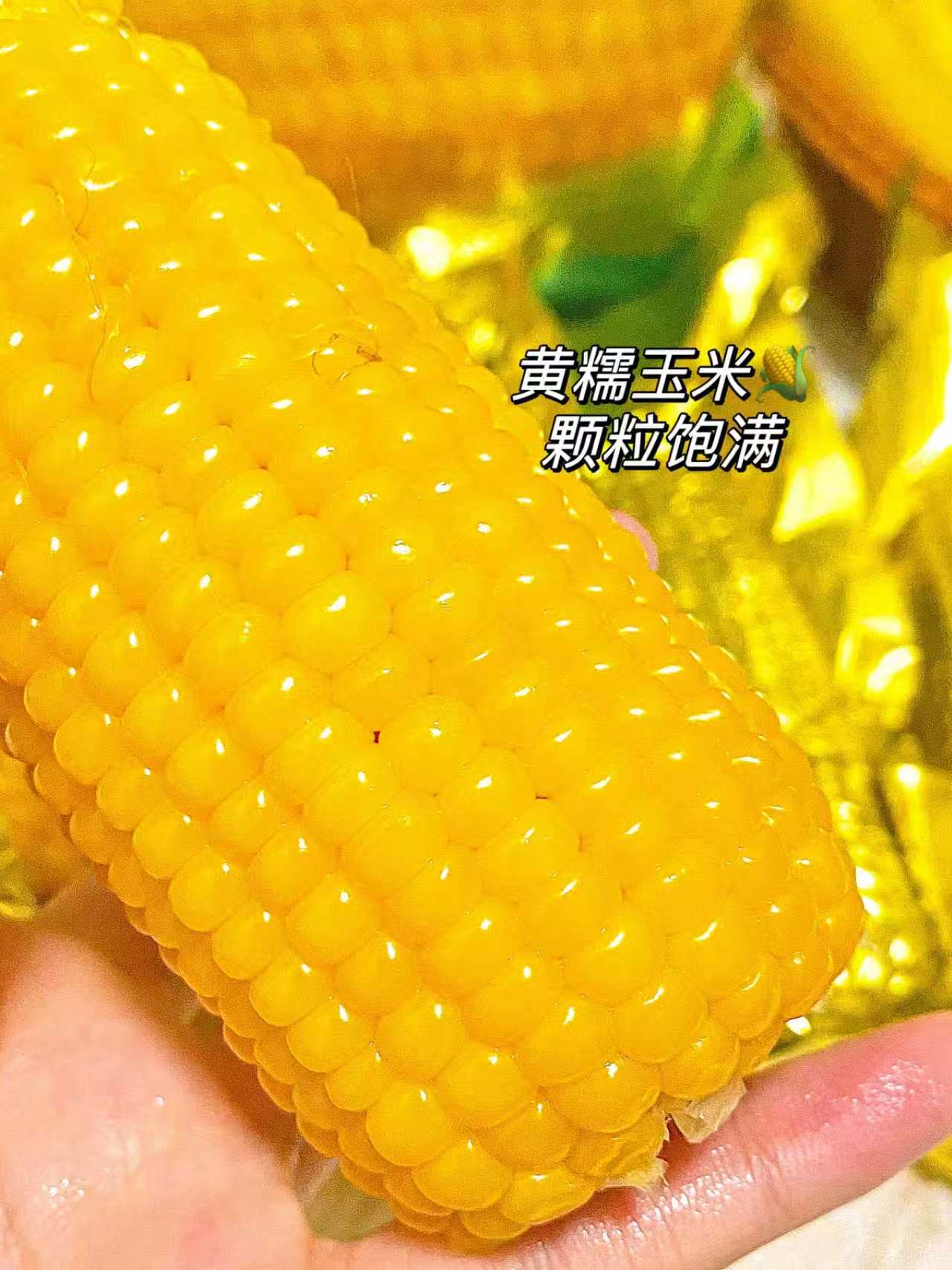 邹有才东北黄糯玉米8根*220g 15.9元 - 线报酷