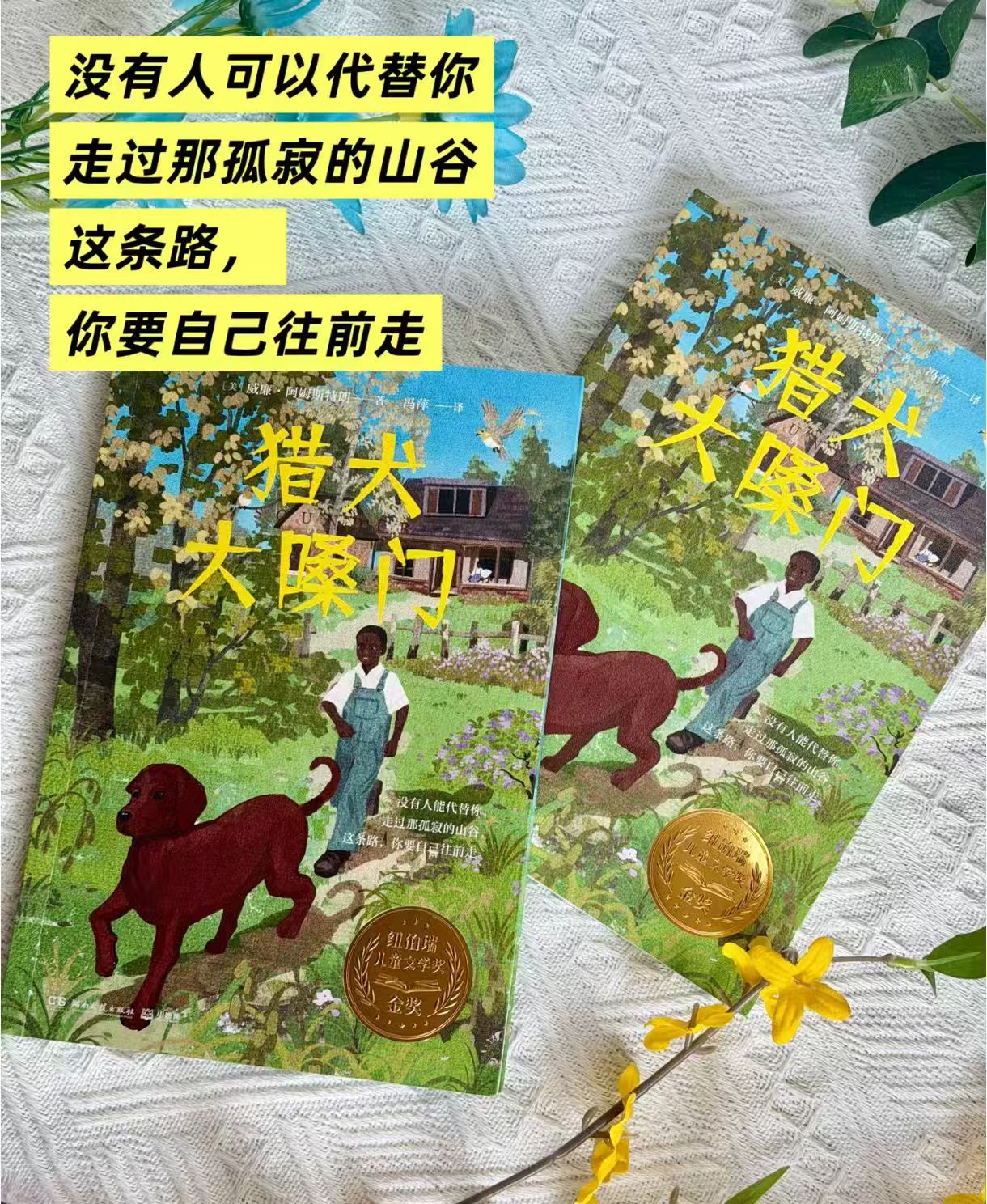 猎犬大嗓门 10.4元 - 86线报