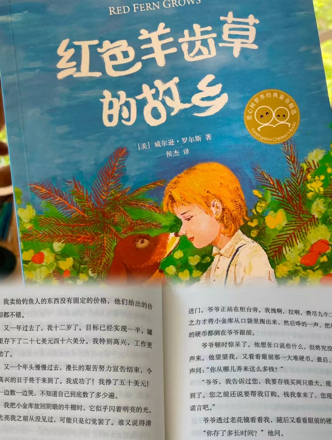 红色羊齿草的故乡儿童成长励志课外故事书 19.3元 - 86线报