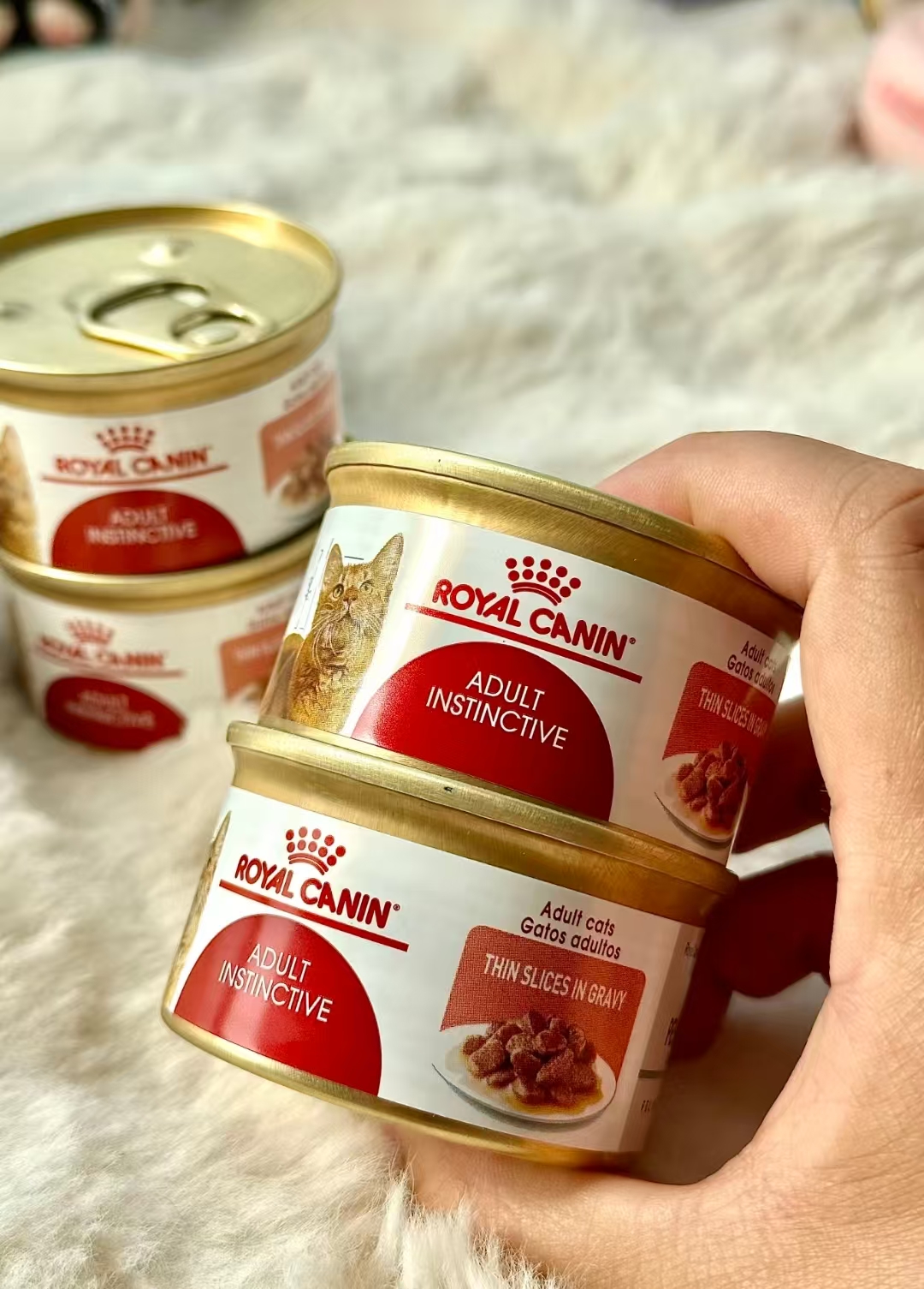 皇家成猫全价湿粮猫咪主食罐头85g×6罐 70.5元 - 线报酷 皇家成猫全价湿粮猫咪主食罐头85g×6罐 70.5元 - 线报酷