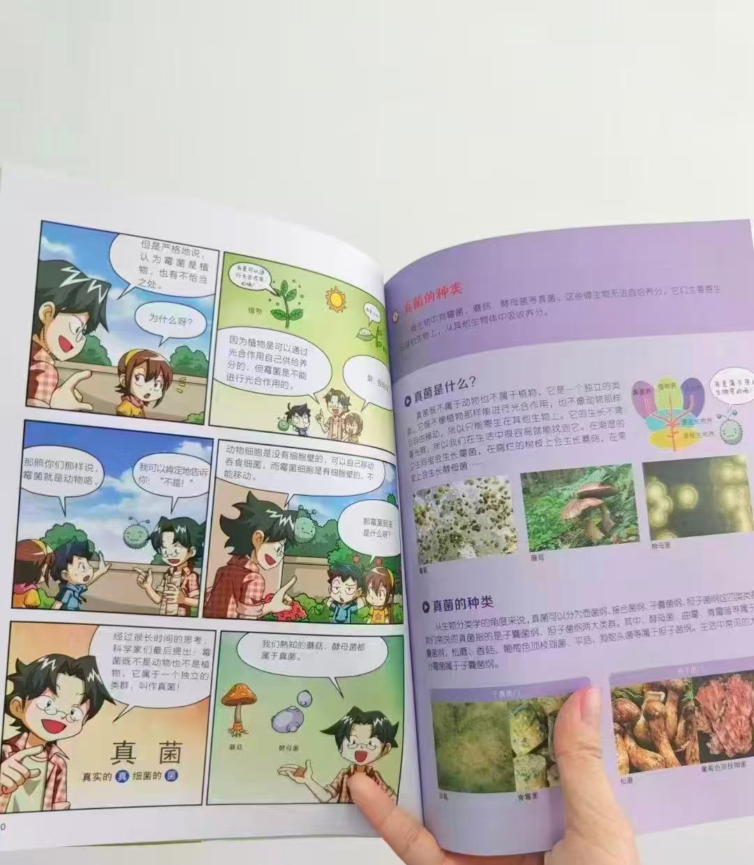 大英儿童百科漫画版22真菌和苔藓 10.6元 - 86线报
