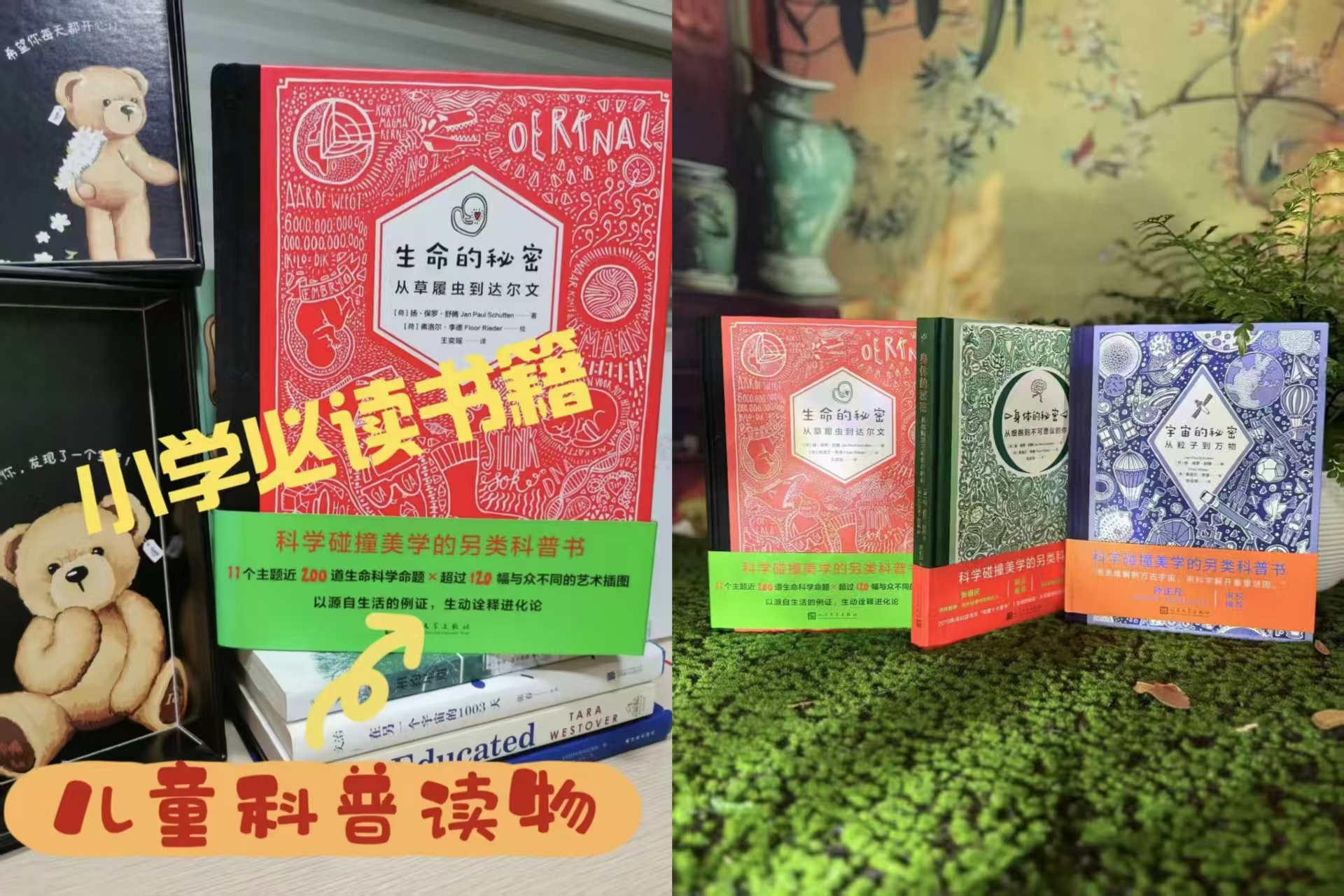 京东文轩网旗舰店WX/文轩生命的秘密+自然太空宇宙物理生物亲近母语6年级共读书目 - 线报酷