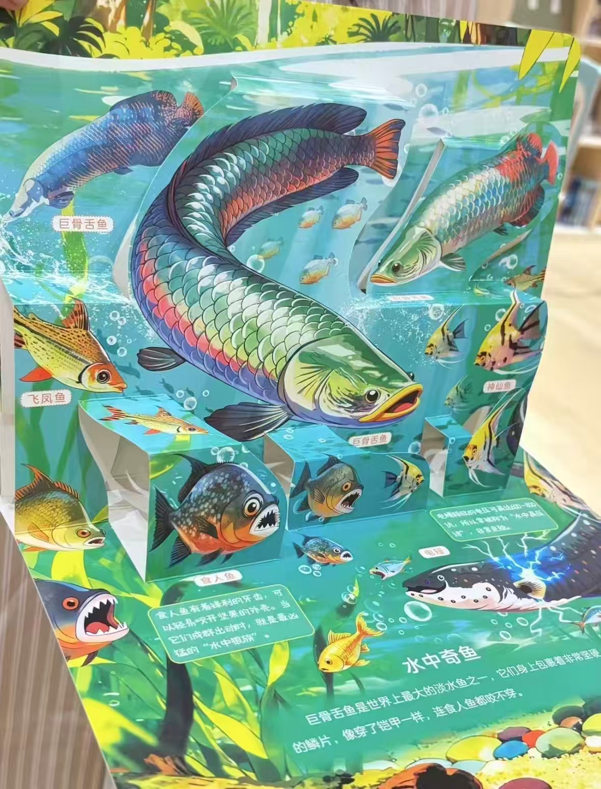 青葫芦动物百科全书3D立体书拍3本 19.8元 - 线报酷