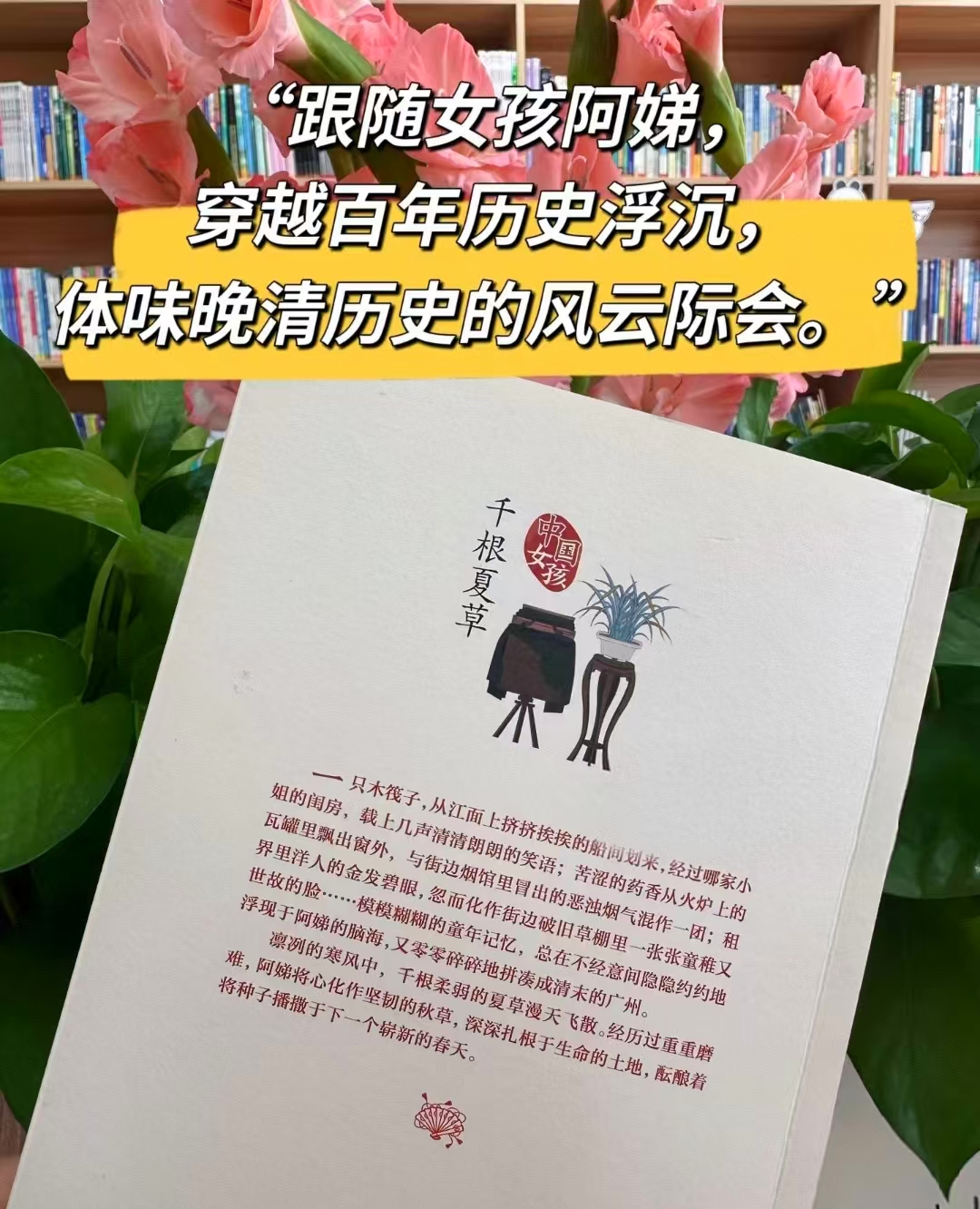 千根夏草3-6年级课外阅读儿童文学 11元 - 86线报