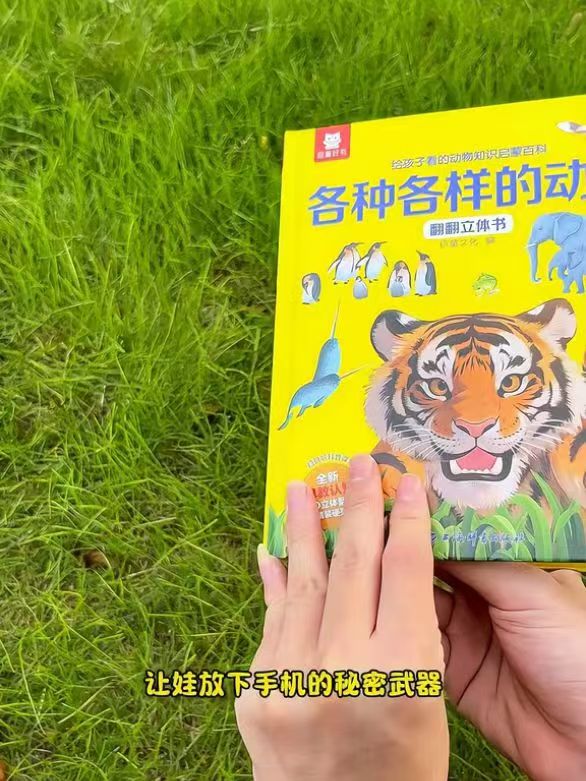 各种各样的动物 11.4元 - 86线报
