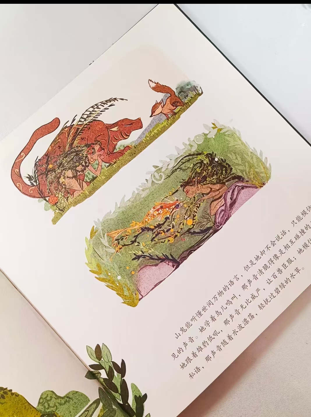 狐狸家国风绘本作业楚辞+山鬼2册 42元 - 86线报