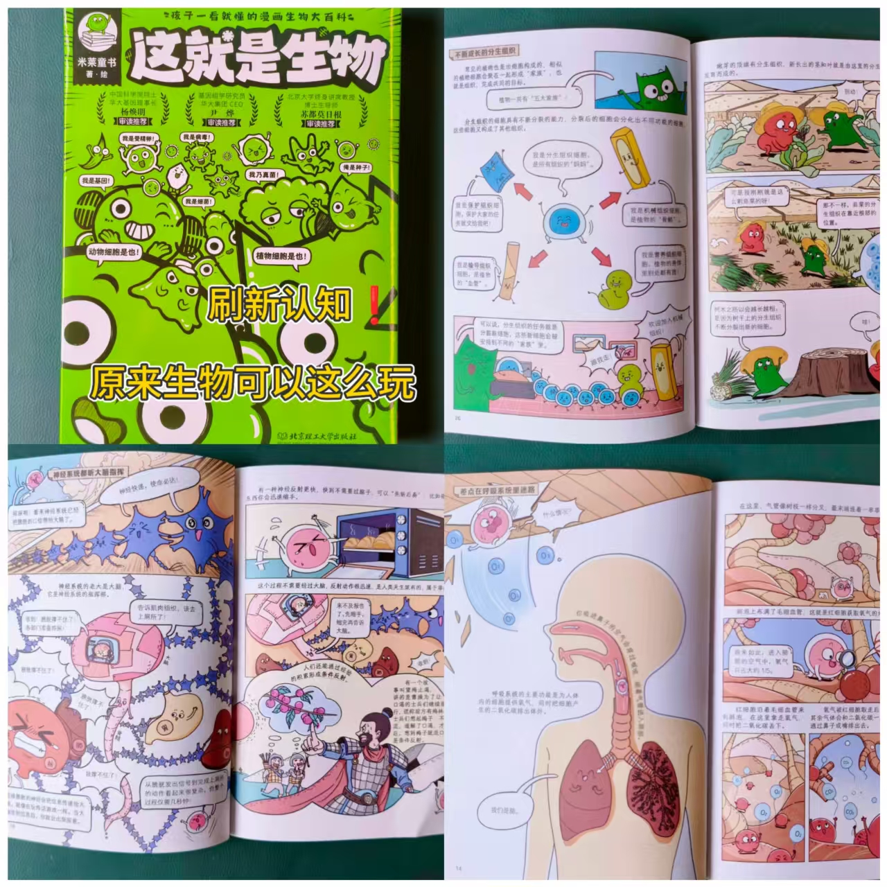 这就是生物升级新版全10册 41.8元 - 线报酷
