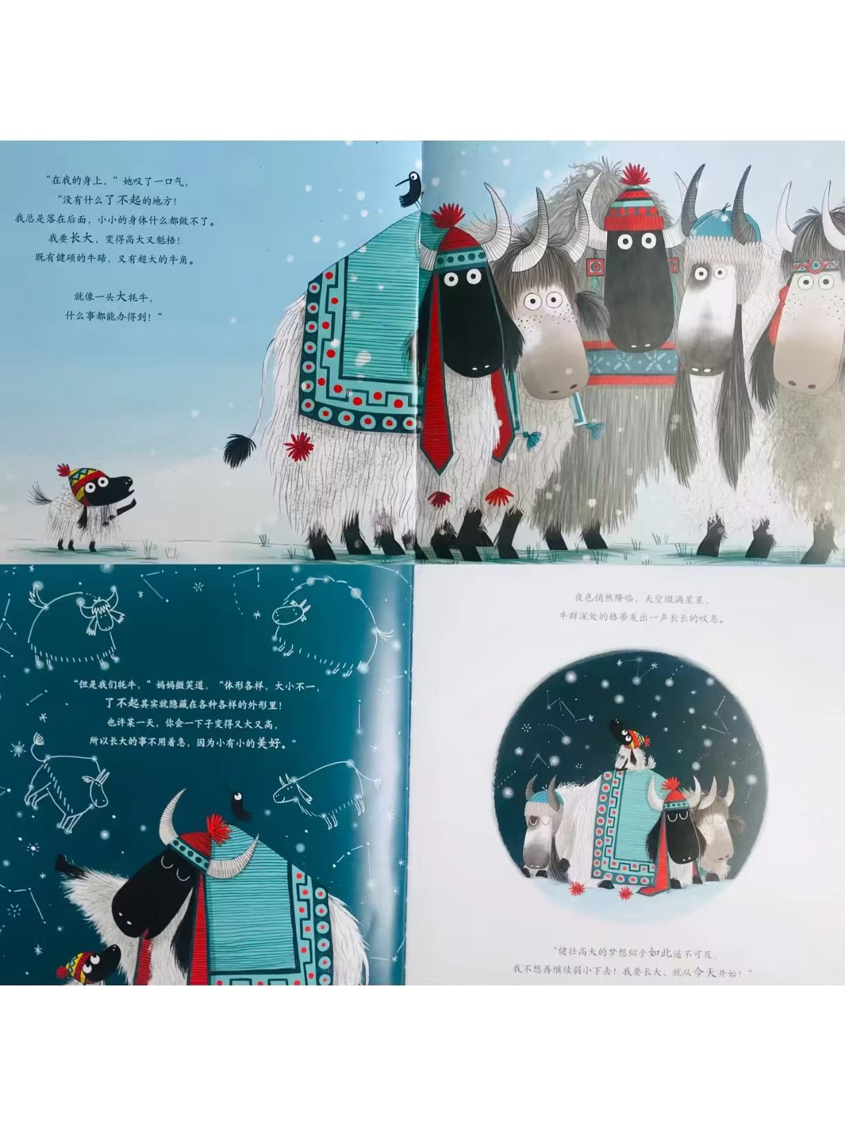 最小的牦牛 15.1元 - 美泡泡