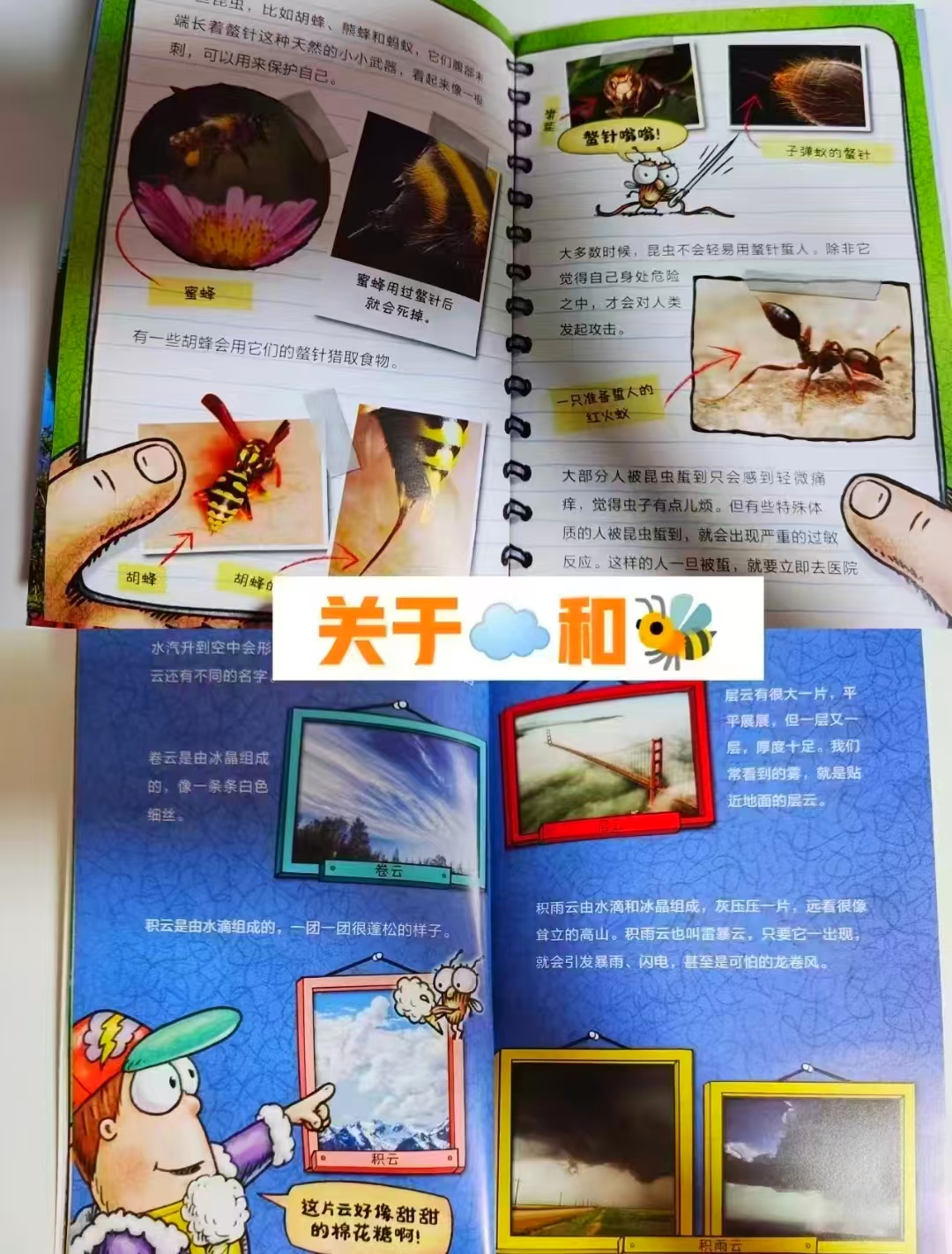 苍蝇小子爆笑桥梁书科普系列9册 45元 - 86线报