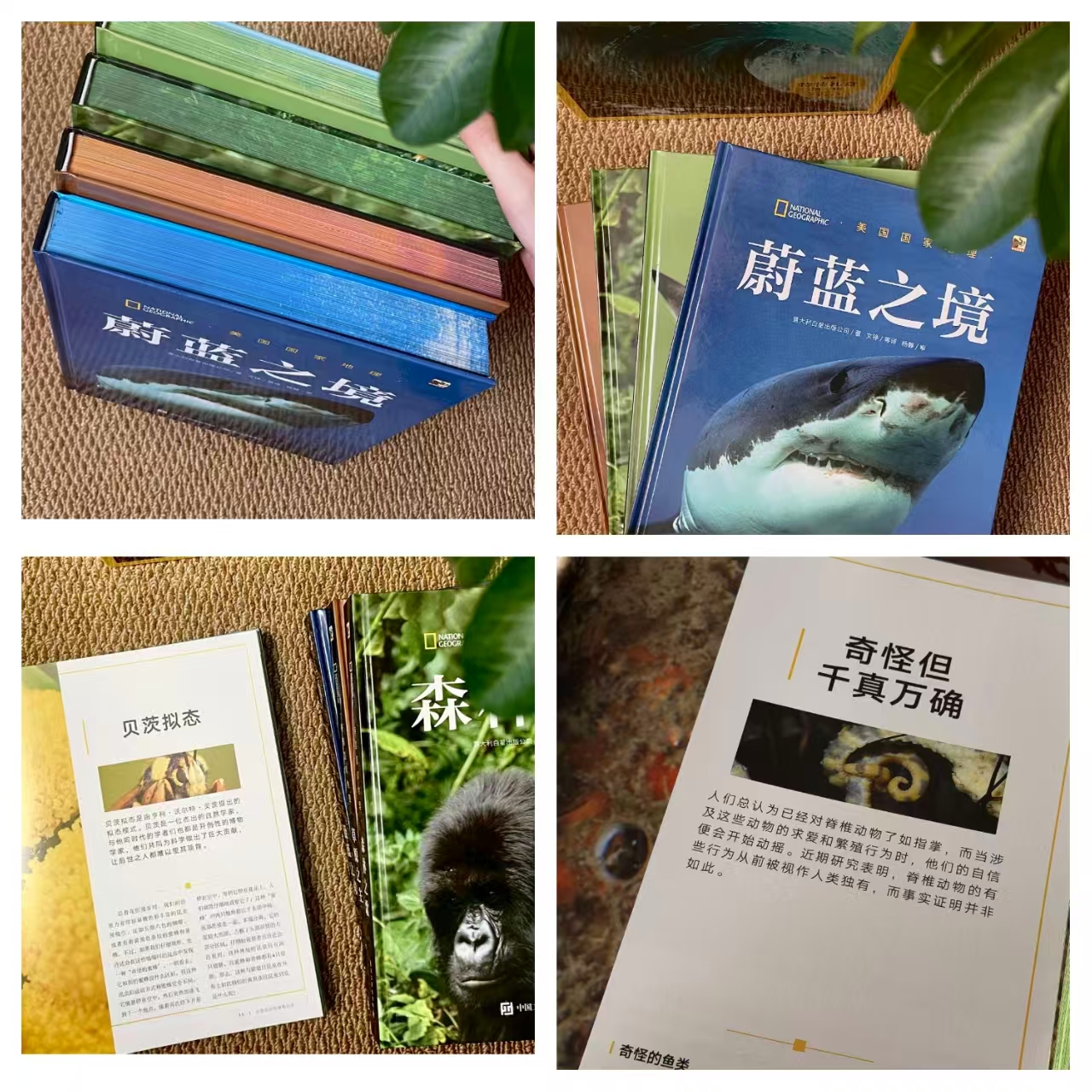 美国国家地理礼盒第一辑珍藏版4册 211元 - 86线报