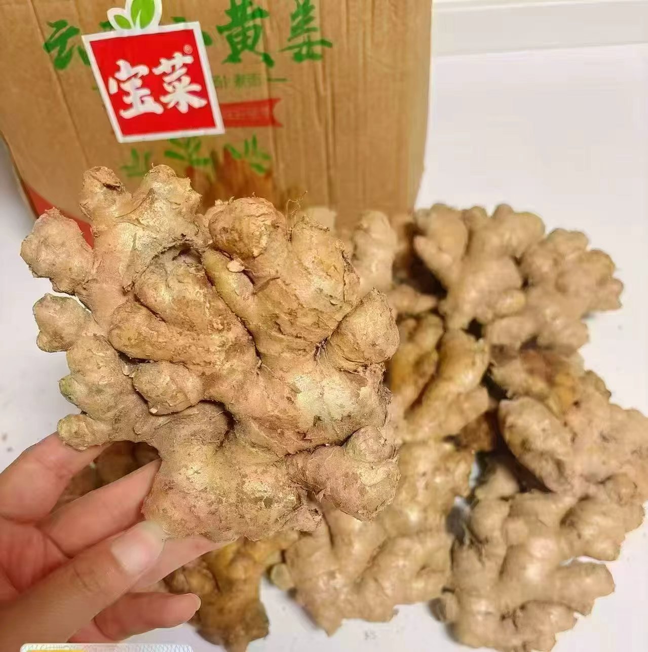 🎀宝菜新鲜现挖云南小黄姜 13.8💰🉐净重5斤 佳农&宝菜 生姜有货啦 - 美泡泡