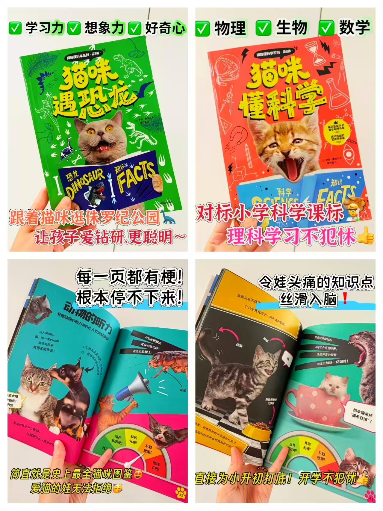 猫咪懂科学系列全3册 32元 - 86线报