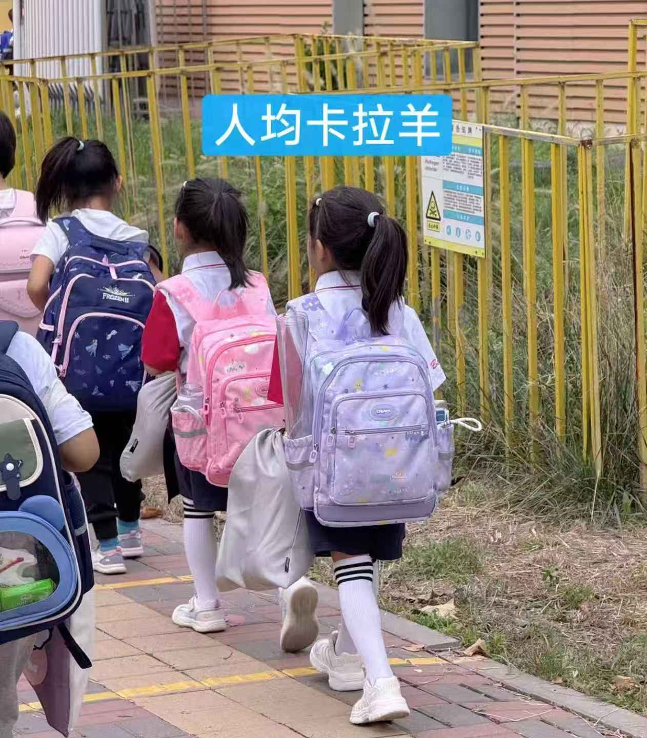 卡拉羊3维防下坠书包18L 129元，卡拉羊3维防下坠书包24L 149元 - 86线报